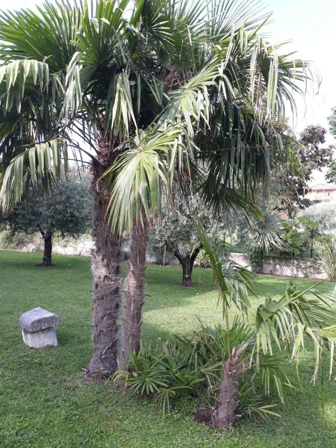 Appartamento Greta Cavaion Veronese Extérieur photo